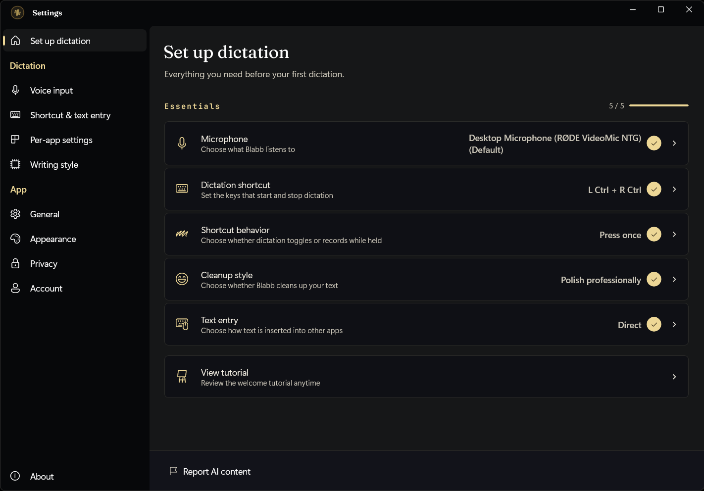 Blabb's Set up dictation screen showing the five essentials checked off